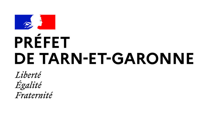 Direction départementale de l'emploi, du travail, des solidarités et de la protection des populations (DDETSPP)